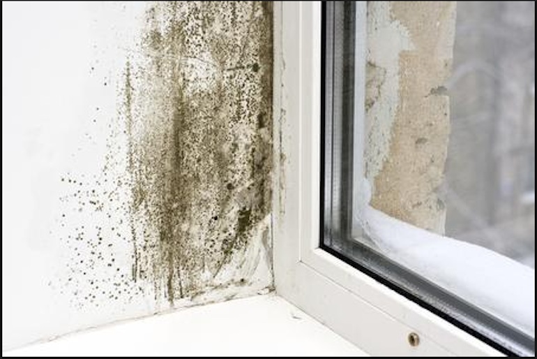 Umidità e muffa in casa, come risolvere sciamanna lucio Perchè si forma l umidità in casa